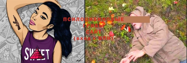 скорость Алексин